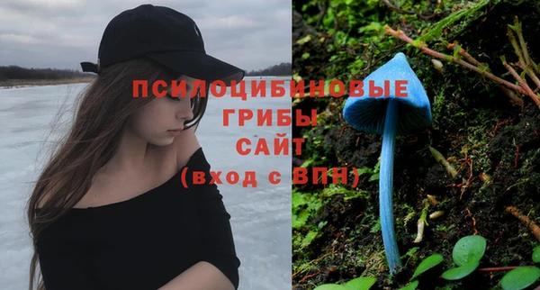 Альфа ПВП Арсеньев