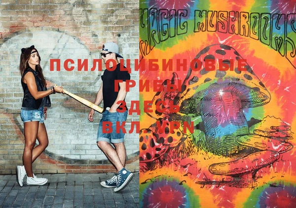 прущие крисы Рославль