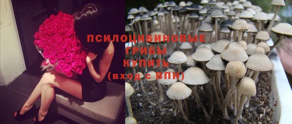соль ск Аркадак