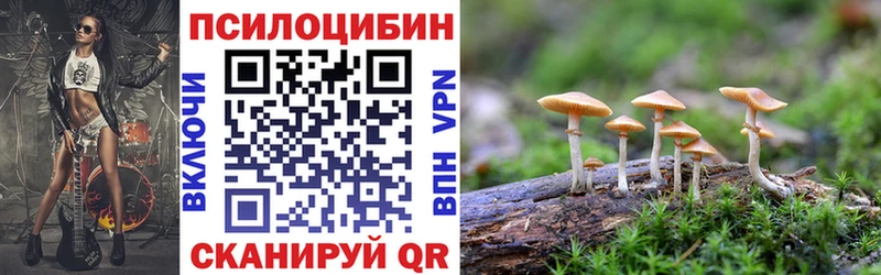 где продают   Артёмовск  Псилоцибиновые грибы прущие грибы 